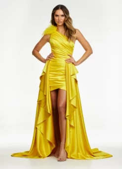 Ashley Lauren 11134 High Low Feather Draped Gown