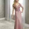 Christina Wu Elegance 17931 Beautiful Mother Of Bride Dress
