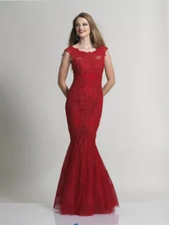 Dave And Johnny 1937 Embroidered Lace Prom Gown