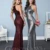Christina Wu Celebration 22756 Sequin Bridesmaid Gown 1 Christina Wu Celebration 22756 Sequin Bridesmaid Gown -Outlet Prom Dresses Store 22756 Christina Wu Celebration Bridesmaid Dress S17 529x705