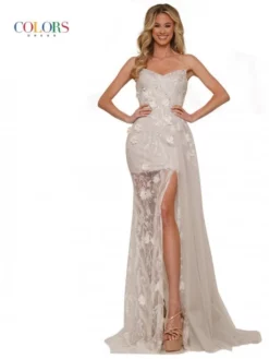 Colors Dress 2822 Sheer 3D Flower Prom Gown