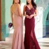 Adrianna Papell Platinum 40325 Alluring Gown -Outlet Prom Dresses Store 40325 Adrianna Papell Platinum Gown F21 530x705
