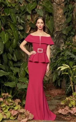 Alexander By Daymor 950 Amazing Mothers Dress 10 Alexander By Daymor 950 Amazing Mothers Dress -Outlet Prom Dresses Store S19 DAY 950 04 441x705