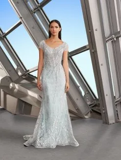 Alexander By Daymor 1169 Lace Short Sleeve Mothers Gown -Outlet Prom Dresses Store S20 DAY 1169 03 531x705