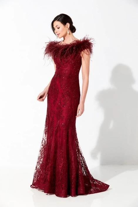 Ivonne D For Mon Cheri 220D22 Mothers Gown With Boa 6 Ivonne D For Mon Cheri 220D22 Mothers Gown With Boa - Image 4