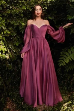 Ladivine BM Cinderella Divine CD243 Sheer Long Sleeve Gown -Outlet Prom Dresses Store S22 CDV CD243 02 470x705