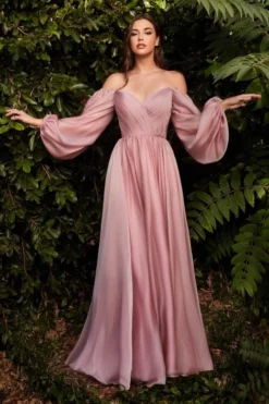 Ladivine BM Cinderella Divine CD243 Sheer Long Sleeve Gown -Outlet Prom Dresses Store S22 CDV CD243 04 470x705