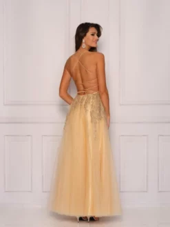 Dave And Johnny 10416 Embroidered A-Line Prom Dress -Outlet Prom Dresses Store S22 DJ 10416 02 529x705