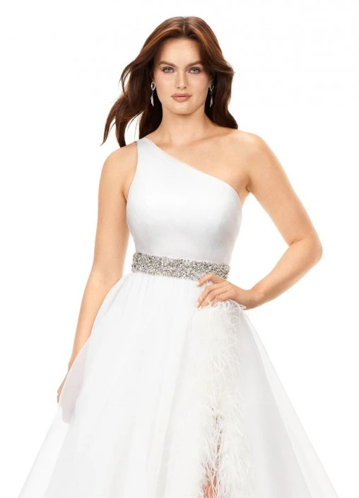 Ashley Lauren 11309 Feather Trim Organza Ball Gown 5 Ashley Lauren 11309 Feather Trim Organza Ball Gown - Image 3