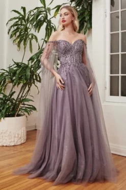 Ladivine Prom Ladivine CD0204 Off Shoulder Long Sheer Sleeve Gown 11 Ladivine Prom Ladivine CD0204 Off Shoulder Long Sheer Sleeve Gown -Outlet Prom Dresses Store S23 CD CD0204 05 470x705