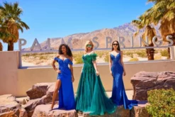 Ellie Wilde By Mon Cheri EW34043 Fabulous Prom Dress 9 Ellie Wilde By Mon Cheri EW34043 Fabulous Prom Dress -Outlet Prom Dresses Store S23 EW EW34043 04 540x360