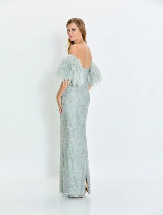 Montage By Mon Cheri Montage M525 Lace Mothers Gown With Feather Sleeves 4 Montage By Mon Cheri Montage M525 Lace Mothers Gown With Feather Sleeves - Image 2